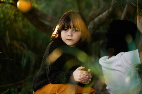 A young child with thoughtful expression sits in a forest setting. Warm sunlight filters through