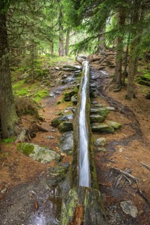 Wooden channel of the Kandelwaal, Martell, South Tyrol, Italy