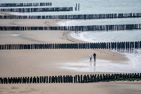 Coastal protection, through wooden posts, paalhoofden, on the beach, breakwater, the piles, some of