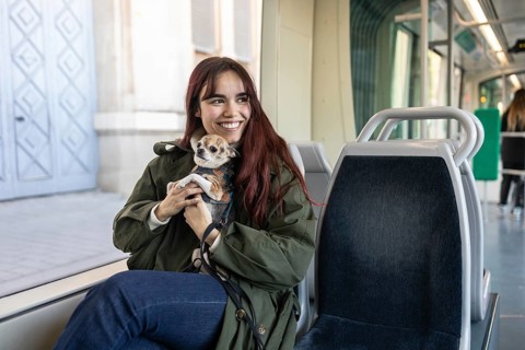 A cheerful woman sits on a tram seat holding her small chihuahua, warmly wrapped in a coat. The