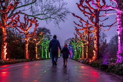 Park lights, events in winter, in the Grugapark in Essen, many different light installations,