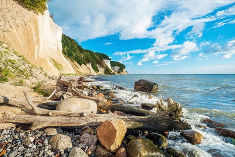 Chalk cliffs and rocky beach with boulders and tree trunks on the Baltic Sea under blue sky with