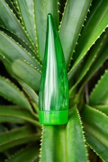 Nestled amongst vibrant aloe vera leaves, a green tube of aloe gel highlights its natural origins,
