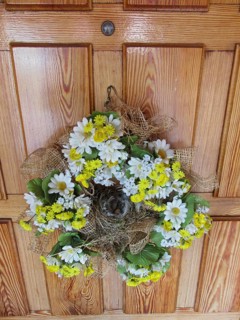 Black Redstart (Phoenicurus ochruros) nest in floral wreath at front door, Brandenburg, Germany