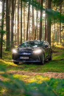 Black car in a mystical forest, illuminated by sunbeams, Deer E- Carsharing vehicle MG4, district