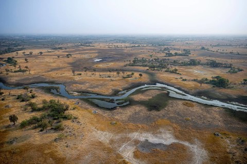 Wetland, landscape, aerial view of the Okavango Delta, near Maun, Okavango Delta, Botswana