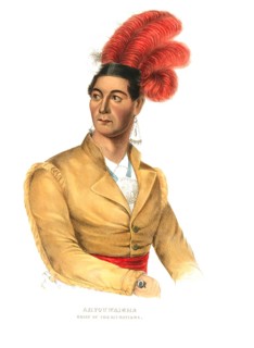American Indian, Native American, Thayendanegea, Chief of the Mohawk and Head of the Iroquois