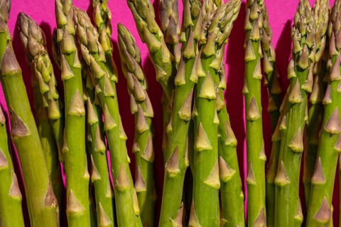 A bundle of fresh green asparagus spears stand out against a vibrant pink background, highlighting