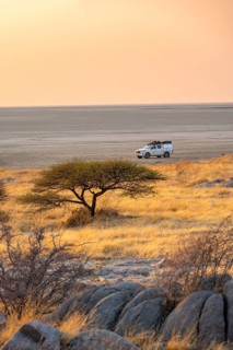 Off-road vehicle on a salt pan, at sunrise, acacia and rocks, Kubu Island (Lekubu), Sowa Pan,