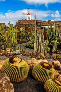 Gofio mill in the Jardin de Cactus with more than 10,000 cacti by Cesar Manrique, Guatiza,
