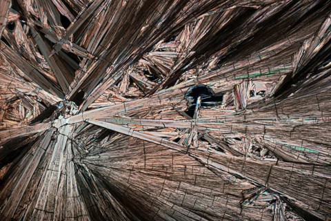 Intricate detail and radiant colors of Hippuric acid crystals magnified under a microscope. The