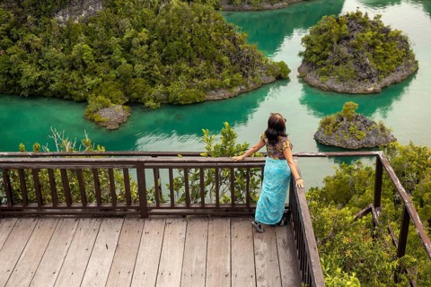 A woman stands on a wooden deck, admiring a lush tropical landscape with vibrant green water and