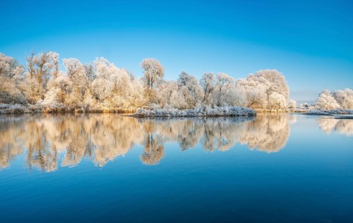 Trees with hoarfrost on the river Eder in winter, reflection in water, near Bad Wildungen, Hesse,