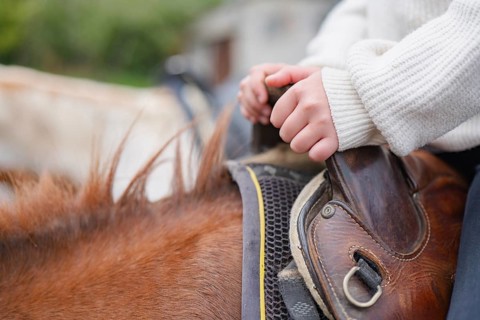 A young rider firmly grips a horse's saddle, illustrating a sense of focus and connection during a