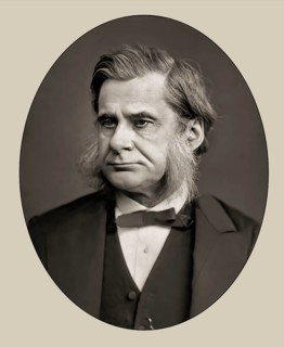 Thomas Henry Huxley, 1825 – 1895, English biologist and anthropologist, specialized in comparative