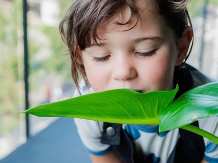 A young girl with tousled hair gently smells a large, shiny green leaf, capturing a moment of