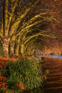 Essen, North Rhine-Westphalia, Germany - Golden autumn on Lake Baldeney