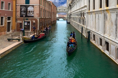 Gondola rides with tourists with the Bridge of Sighs in the back, Venice, Veneto, Italy