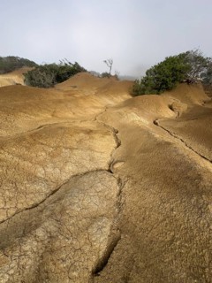 Yellow soil and rocks, erosion, near Arguamul, La Gomera, Canary Islands, Spain
