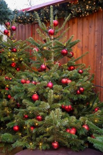 Christmas tree with red baubles on a hut at the Christmas market, Breitscheidplatz, Charlottenburg,