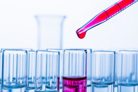 Many test tubes during an experiment in a university research laboratory. Symbolic photo for