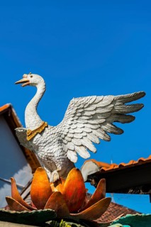 Swan as temple figure, bird, sculpture, sculpture, animal, image, depiction, art, culture, fairy