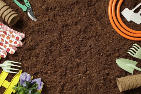 Various gardening tools and essentials, including gloves, a hose, and shovels, arranged on rich,