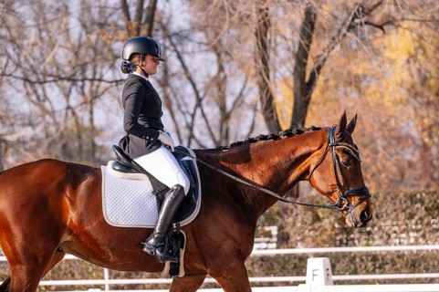 A teenage girl is captured looking away while riding a brown horse in a classical dressage training