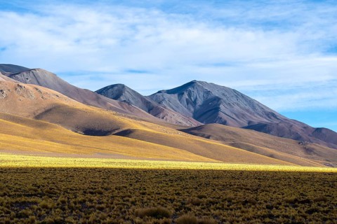 Panoramic image of the La Puna region in the Argentinian highlands, showcasing the vast grassy