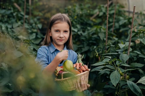 A young girl in a blue shirt joyfully holds a basket filled with freshly harvested vegetables,