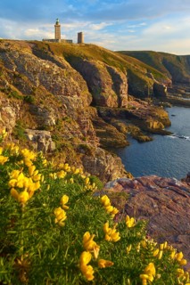 Coastal landscape with cliffs and sea, a lighthouse at Cap Frehel, gorse in the foreground, Cap