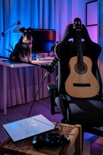 A cozy home studio with a guitar on a chair, a dog on the desk, and ambient purple and blue