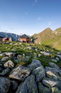 Mountain hut Lasörlinghütte in the evening light, mountain landscape with alpine roses,