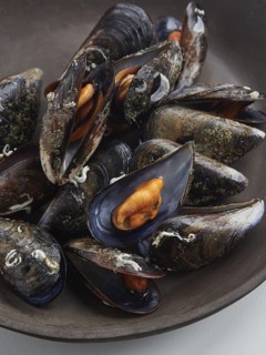 Close-up view of steamed mussels, one open in its half shell with delicious orange flesh