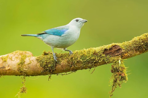 Naturfotografie Sylvia & Olaf Rentzsch