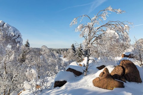 View from Großer Lugstein of the sunny winter landscape with snow-covered trees, bushes, trails and