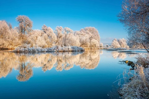 Landscape on the river Eder in winter, trees covered with hoarfrost, reflection in water, near Bad