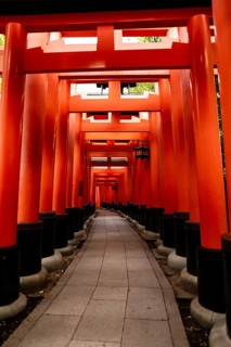 Pathway through the iconic red torii gates at Fushimi Inari-taisha, a famous Shinto shrine in