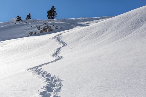 A tranquil snowy landscape featuring a trail of footprints leading up a gentle slope under a clear