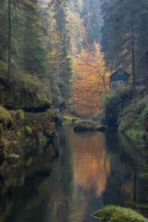 Log house and flowing water with ferns and rocks in the Edmunds Gorge in autumn. River Kamnitz,