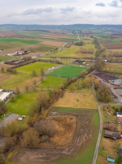 Wide landscape with fields and sparse trees in a rural area, Großbottwar, Ludwigsburg district,