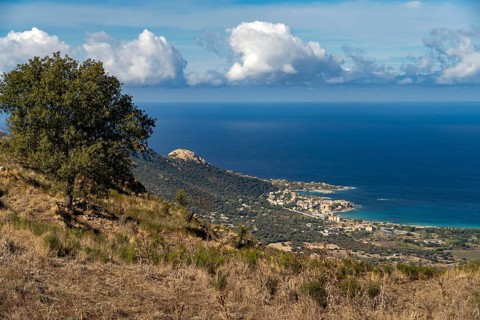 The village of Algajola and the coast seen from above, Balagne, Corsica, France