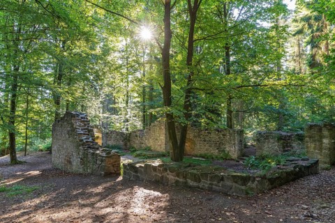 Romantic ruin of the Barbara Chapel in the Dippoldiswald Heath, Saxony, Germany