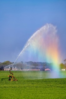 Artificial irrigation of a cereal field in April, with a sprinkler system, long dry spell in spring