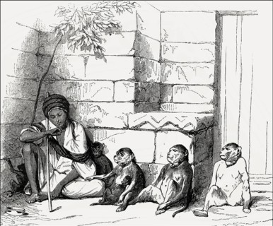 Monkey dealer, Cairo, Egypt, 19th Century