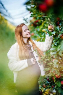 A beautiful pregnant woman with long red hair picks an apple in a sunlit orchard. She wears a cozy