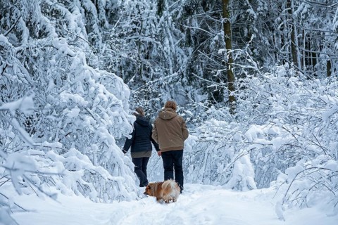 Two woman taking a walk with a dog through a snowy forest, winter, snow, Sieversen, Samtgemeinde