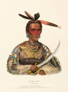 To-Ka-Con. A Sioux Chief (1838), Indians, Historical Indian tribes from North America, Charles Bird
