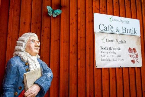 Wooden statue of botanist and founder of the binary nomenclature Carl von Linné with white hair and