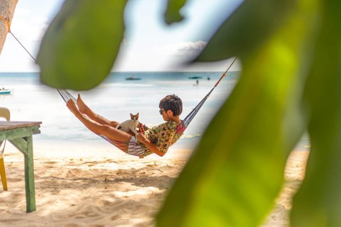 A woman and a cat enjoy a serene moment in a hammock on a sandy beach, surrounded by lush green